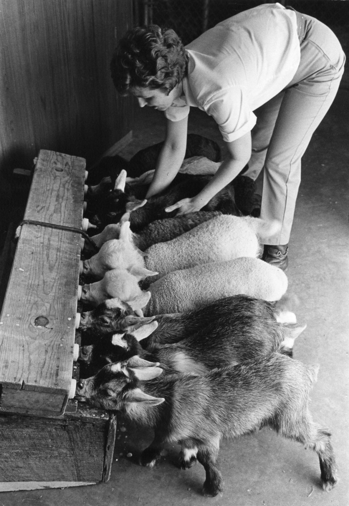 Grant's Farm in 1969